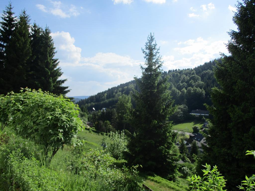 Greizer Kammhütte Gaststätte&Pension Klingenthal Exterior foto