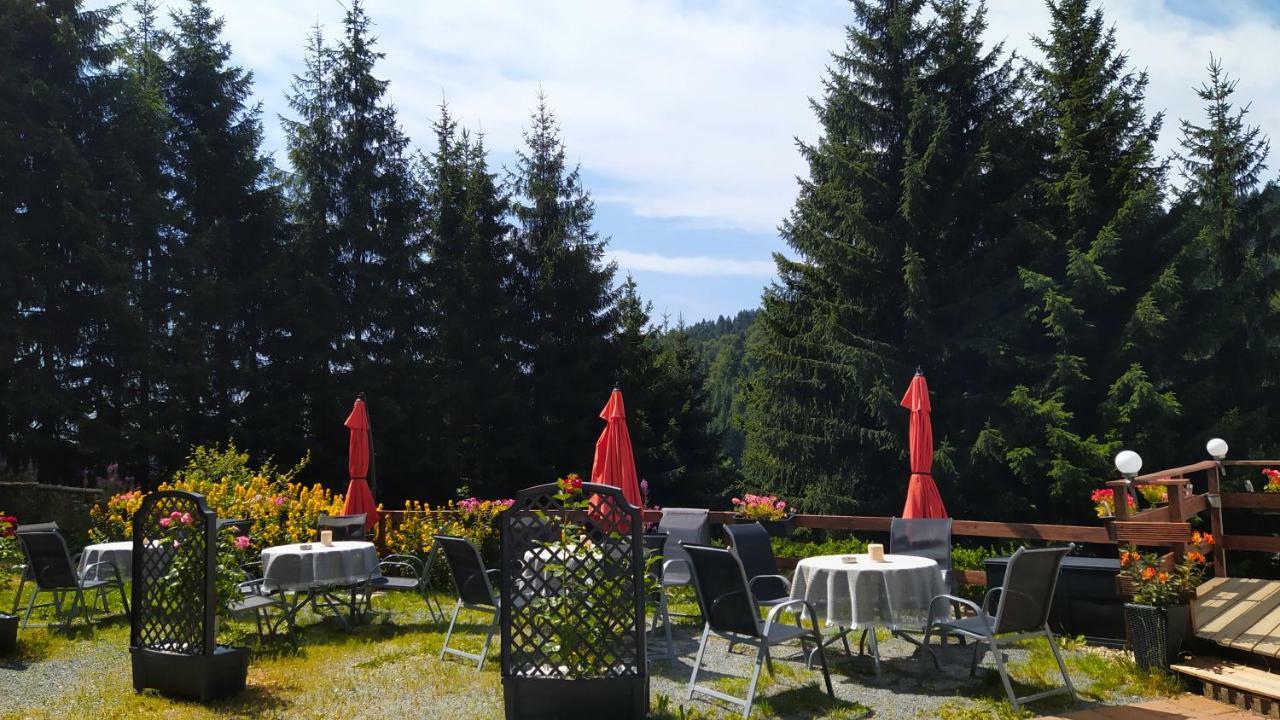 Greizer Kammhütte Gaststätte&Pension Klingenthal Exterior foto